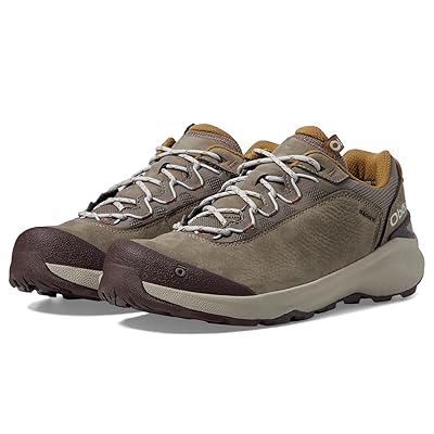 Oboz Cottonwood Low B DRY Men