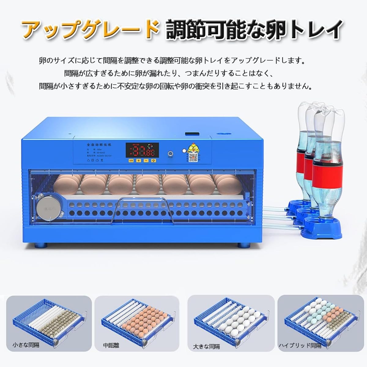 ジャン・フサロ、「チューリップとダリア」、希少画集・額装画 2025年