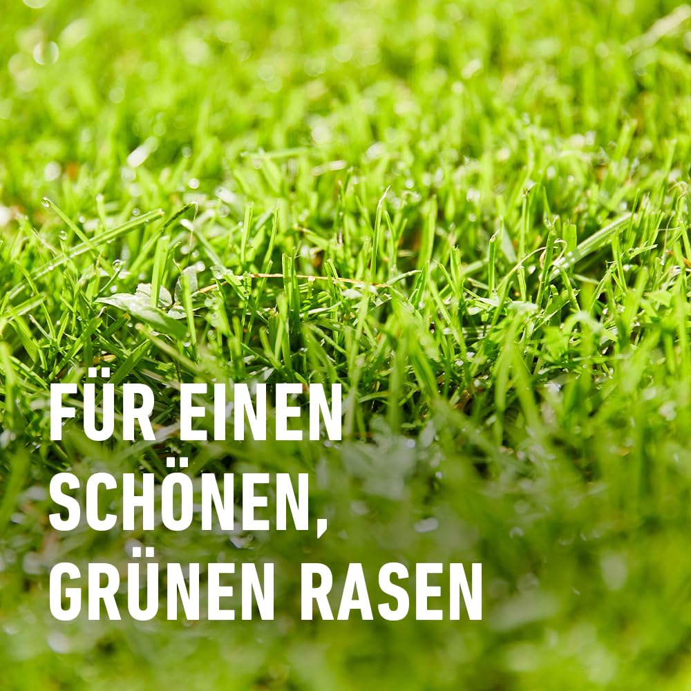 COMPO Turbo‑Nachsaat, 2,6 kg für 130 m² – Premium Rasensamen schnellkeimend und mit Keimsicherheit zur schnellen Reparatur von strapazierfähigen Spiel‑ und Gebrauchsrasen, Nachsaat Rasen Frühjahr