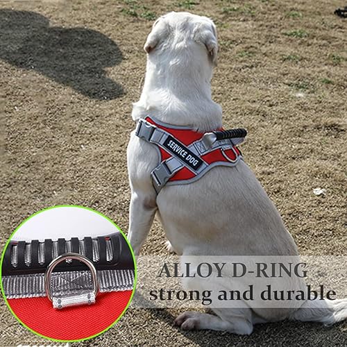 Miniatura 2 de Chaleco de servicio para perro, arnés para perro de servicio de entrenamiento sin tirones y correa de 5 pies, chaleco ajustable de nailon