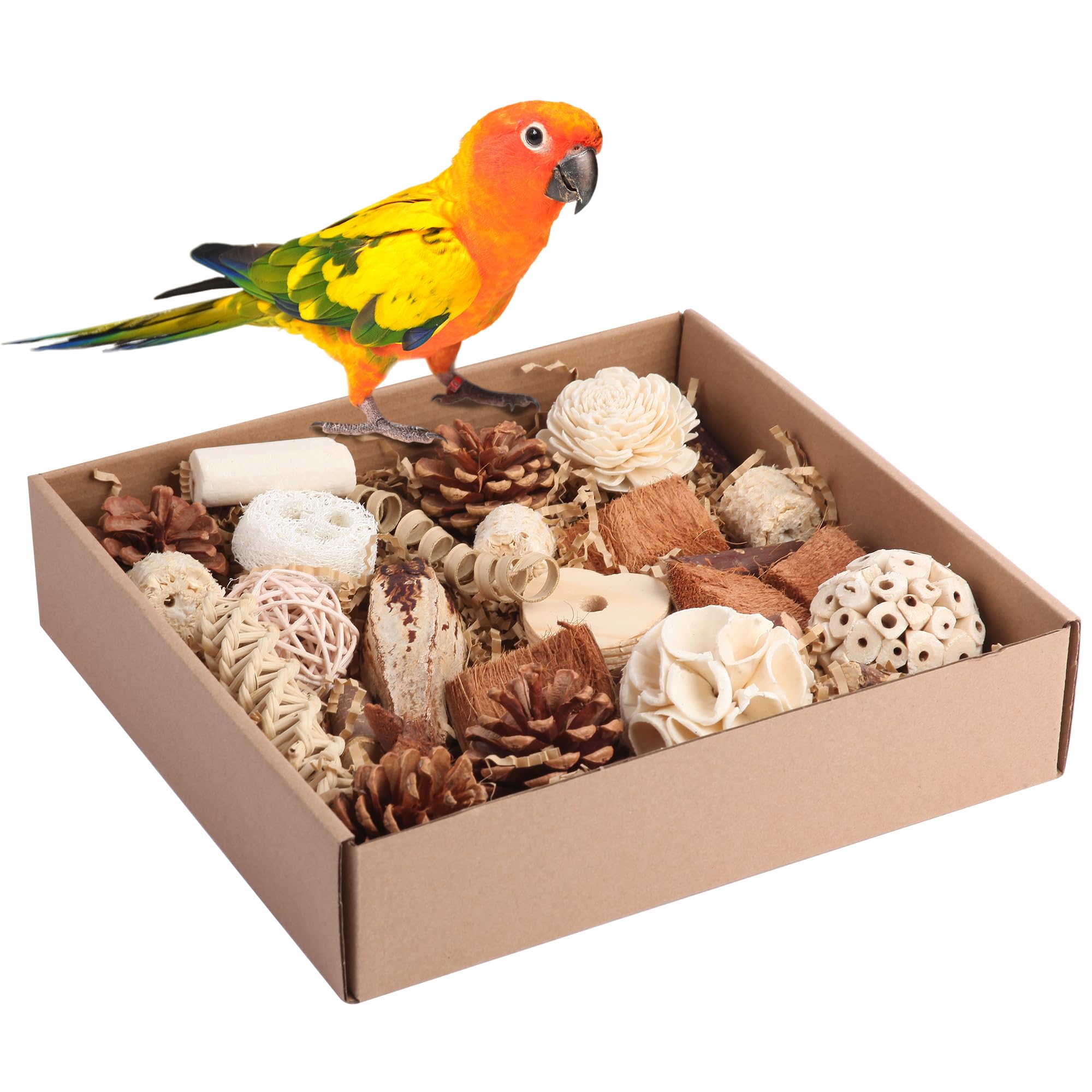 Bird Toys for Parakeets, Natural Cockatiel Foraging Toy Box for Parrots, Conures, Budgies, Macaws, Lovebirds, and Other Small to Medium Birds