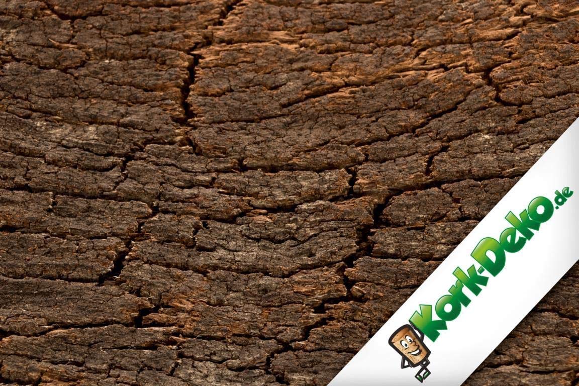KorkDeko 3D Cork Background Wall One Piece of Cork Bark 60 x 30 cm