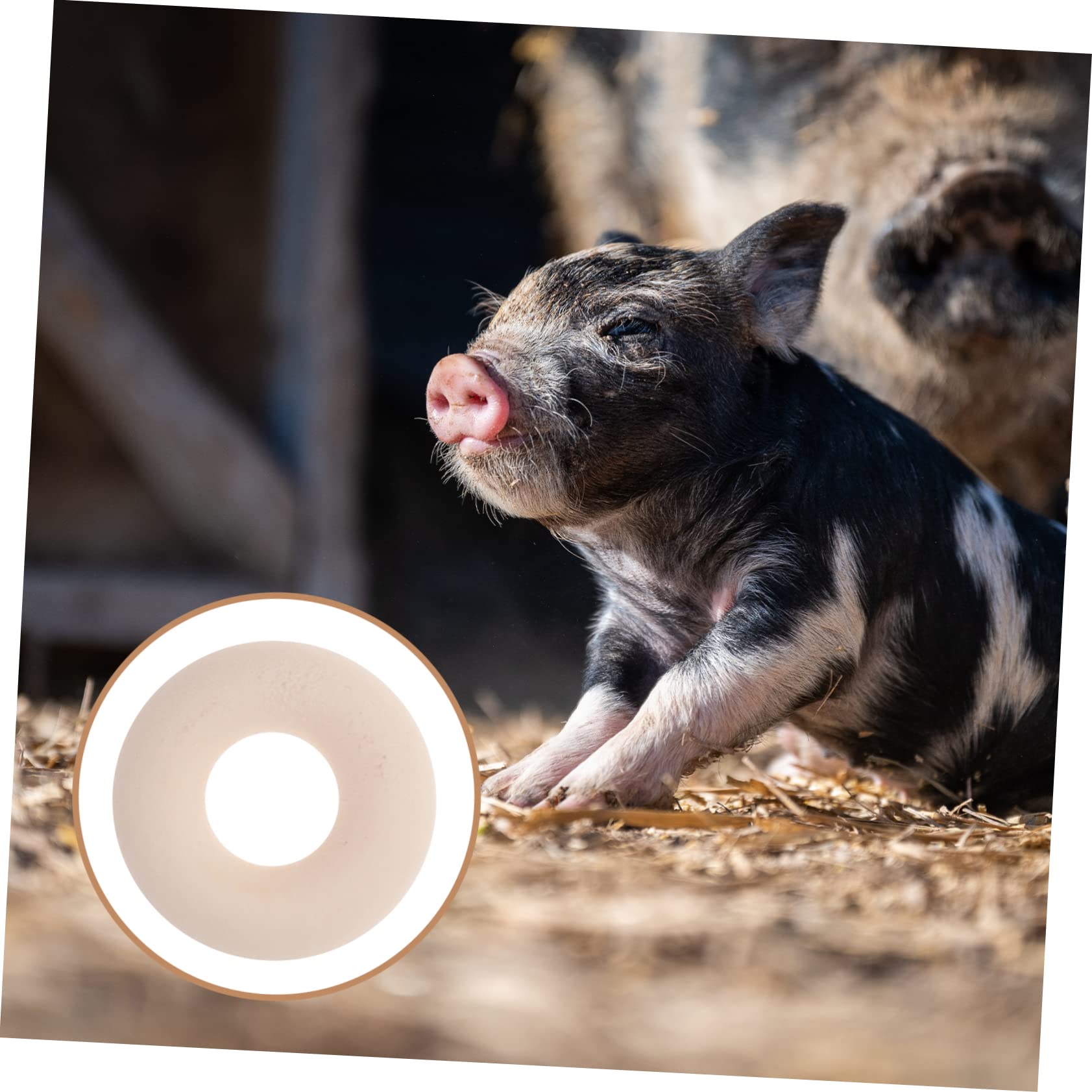 BESPORTBLE 100x Kastrationsringe – Elastische Gummiringe Für Schweine, Rinder & Schafe, Mit Zange (nicht Enthalten)