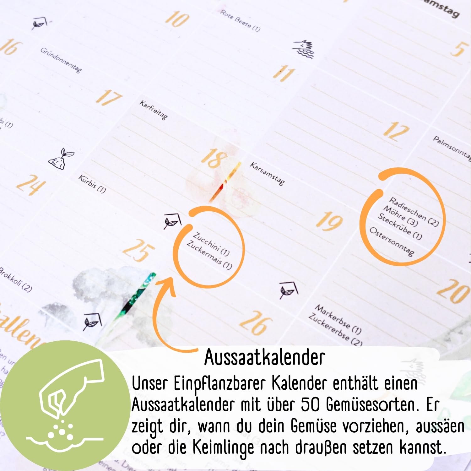 Bio Saatgut Kalender 2027 – Garten Wandkalender A4 mit 12 Sorten Demeter Gemüse Samen | Einpflanzbarer Monatskalender von Loveplants mit Aussaatkalender | Geschenkideen für deine Gartenfreunde