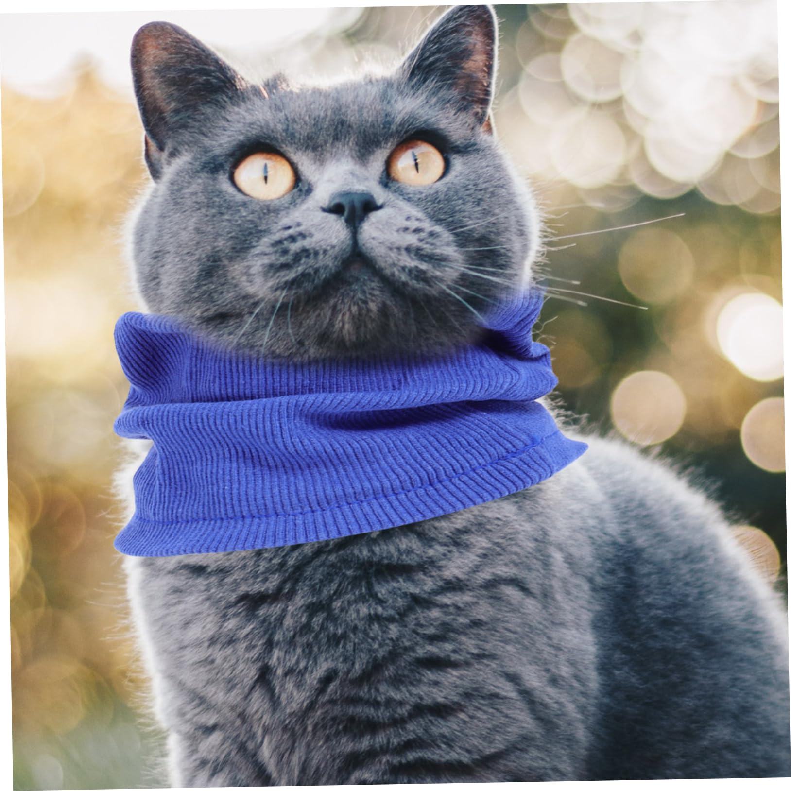 5piezas Earmuffs para Perros Protección y Térmica para Mascotas Cubierta De Oído para Baño y Ruido Diseño y Cómodo Mediano