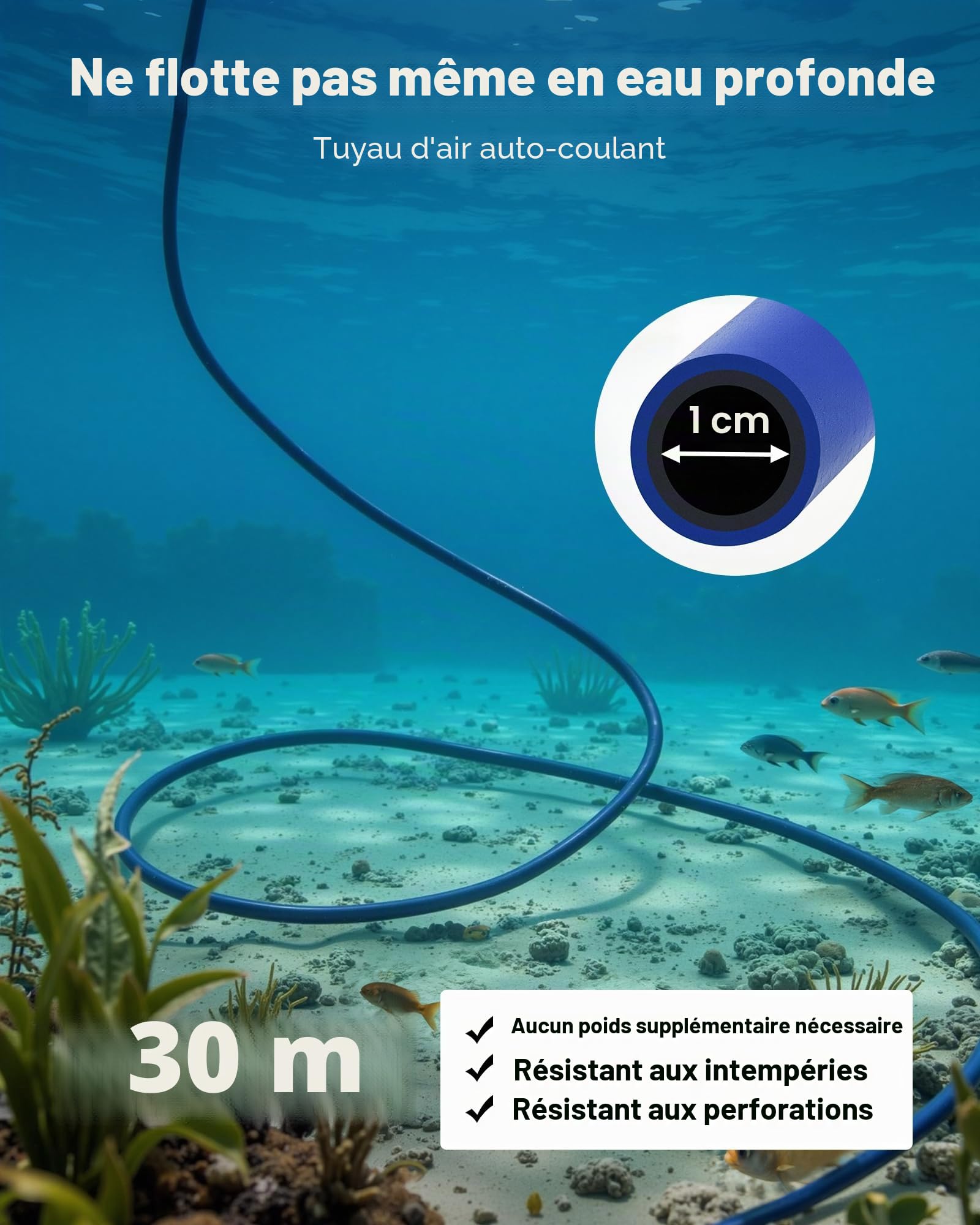 VEVOR Aérateur de Bassin 590 W Système d'Aération Lac de 1,2 hectare Pompe à Air Étang Extérieure pour Circulation Oxygène en Eau Profonde, avec Compresseur Air, 2 Diffuseurs, 2 Tuyaux Lestés 30,5 m