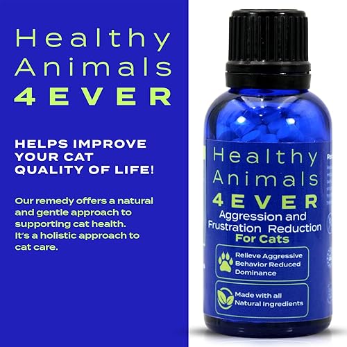 Miniatura 7 de HealthyAnimals4Ever HA4E - Tabletas calmantes para gatos estresados y agresivos - Reduce la agresión del gato y promueve la relajación - Remedio