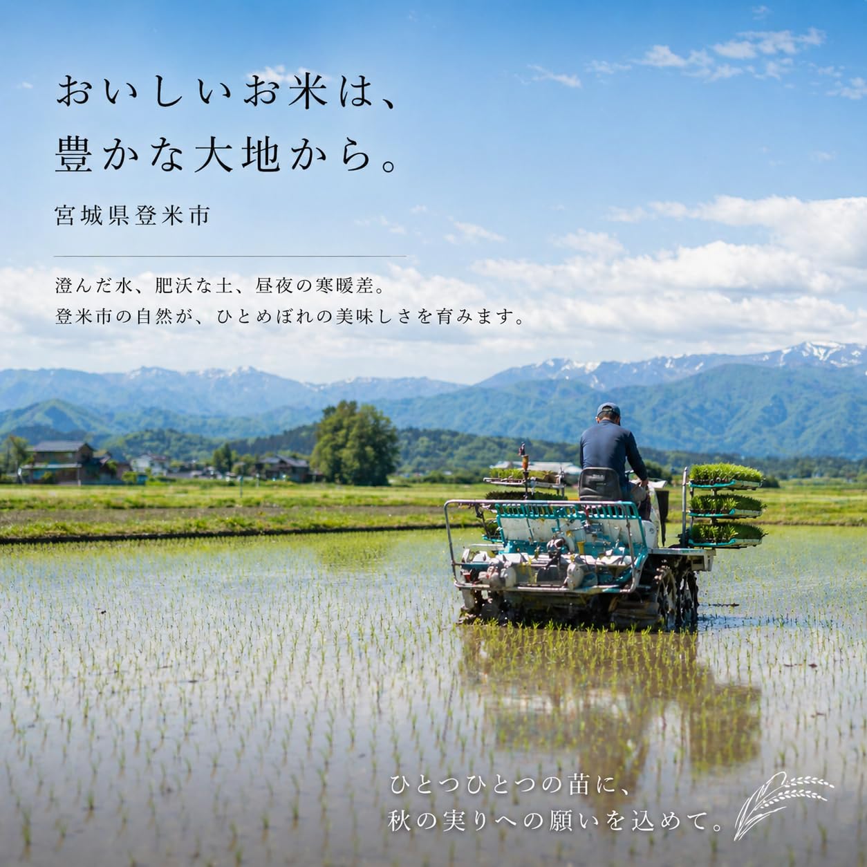 Amazon.co.jp: ◇令和7年 宮城県産◇ 宮城県 認証 特別栽培米