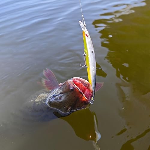 Miniatura 7 de Lurefans E12 Jerkbait para pesca de lubina, hundimiento lento, anzuelos Gamakatsu RB-MH, 4.724 in 4 34 pulgadas 12 oz Sistema de impulso magnético