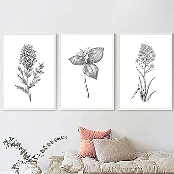 Amazon Co Jp 植物の花鉛筆画絵画キャンバスプリント白黒壁写真ミニマリストポスターリビングルームの装飾 60x80cm 3pcsフレームレス Home Kitchen Amazon Co Jp 植物の花鉛筆画絵画キャンバスプリント白黒壁写真ミニマリストポスターリビングルームの装飾 60x80cm 3pcsフレームレス Home Kitchen