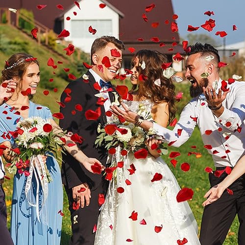 Miniatura 10 de Ouddy Decor 5000 pétalos de rosa artificiales para decoración de San Valentín, boda, evento nocturno romántico, aniversario, ducha, compromiso
