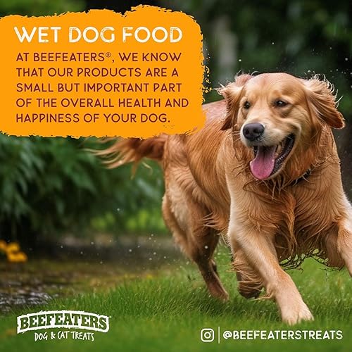 Miniatura 5 de Beefeaters Comida húmeda para perros con paté de salmón y arroz, 13.2 onzas, caja de 12