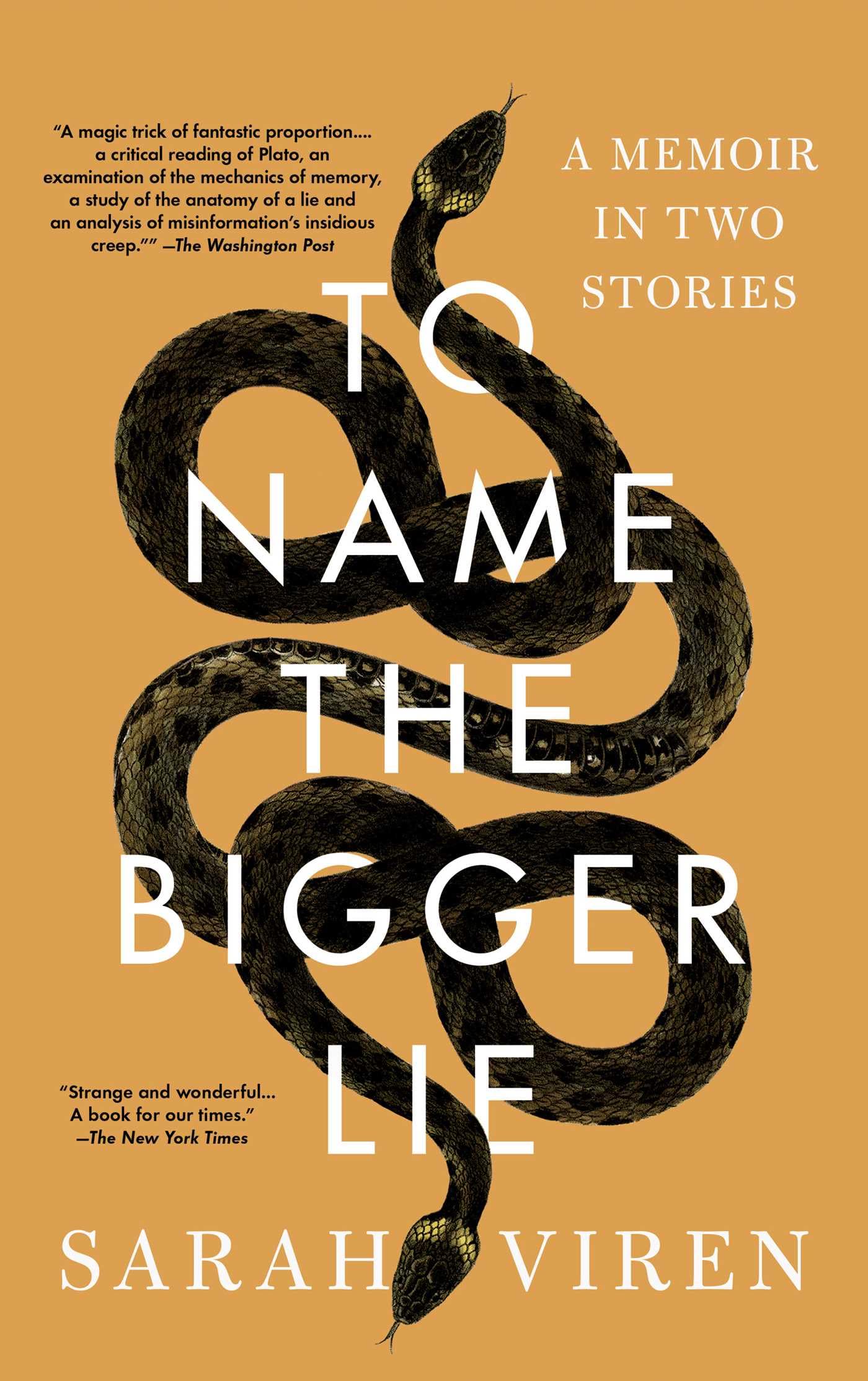 To Name the Bigger Lie A Memoir in Two Stories