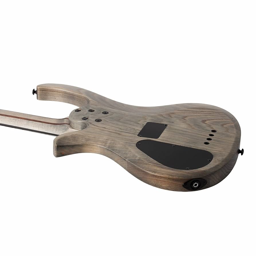 【最終値下げ】Scherter Japan RIOT4 （4弦エレキベース） Amazon | Schecter Riot-4 バス 左利き - オーロラバースト