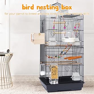 Rypet Parakeet Nesting Box Transparent Design, Thwartwise Bird Nest Breeding Box with Perch Wood Bird Cage House for Cockatiel Lovebirds Budgie Finch Parrotlets Canary L
