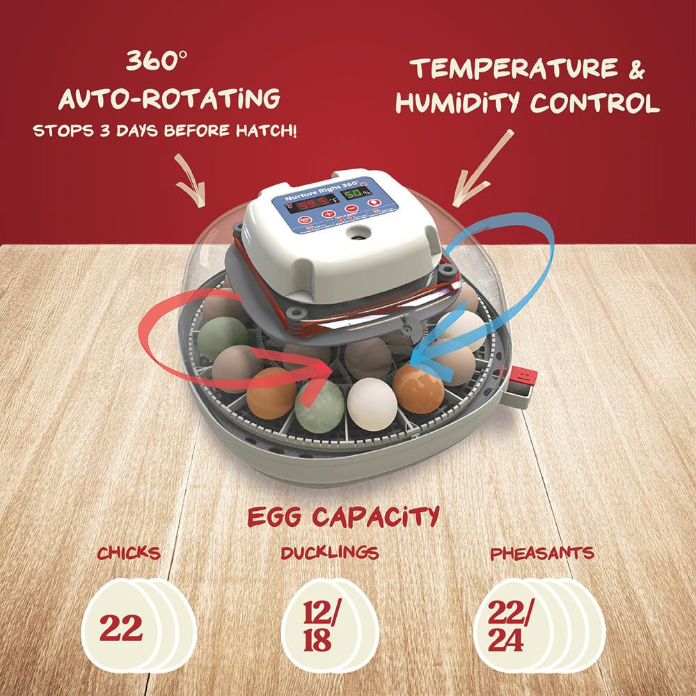 Harris Farms Nurture Right Egg Incubator for Hatching Chicks, Holds 12-22 Eggs, Automatic Turner with Temperature and Humidity Control, 360 Degree View with Clear Window, Incubator for Chickens
