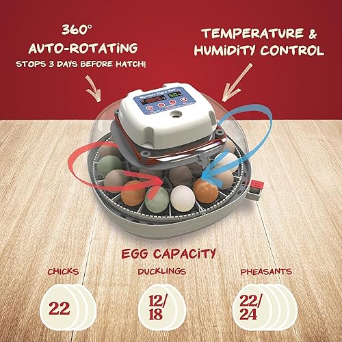 Miniatura 2 de Harris Farms Nurture Right - Incubadora de huevos para incubar pollos, capacidad para 12-22 huevos, girador automático con control de temperatura y