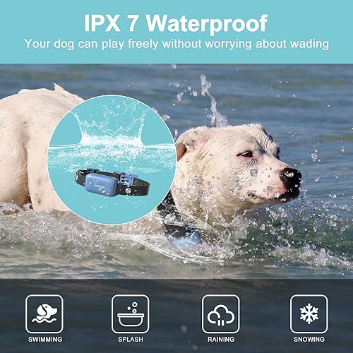 Miniatura 4 de Collar de choque para perros collar de entrenamiento de perros con control remoto para perros pequeños medianos y grandes con pitido vibración modos