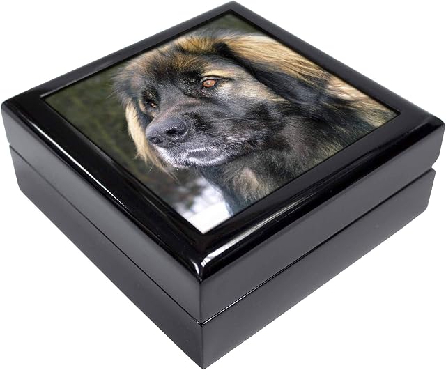 Advanta Group Black Leonberger Dog Keepsake/Jewellery Box