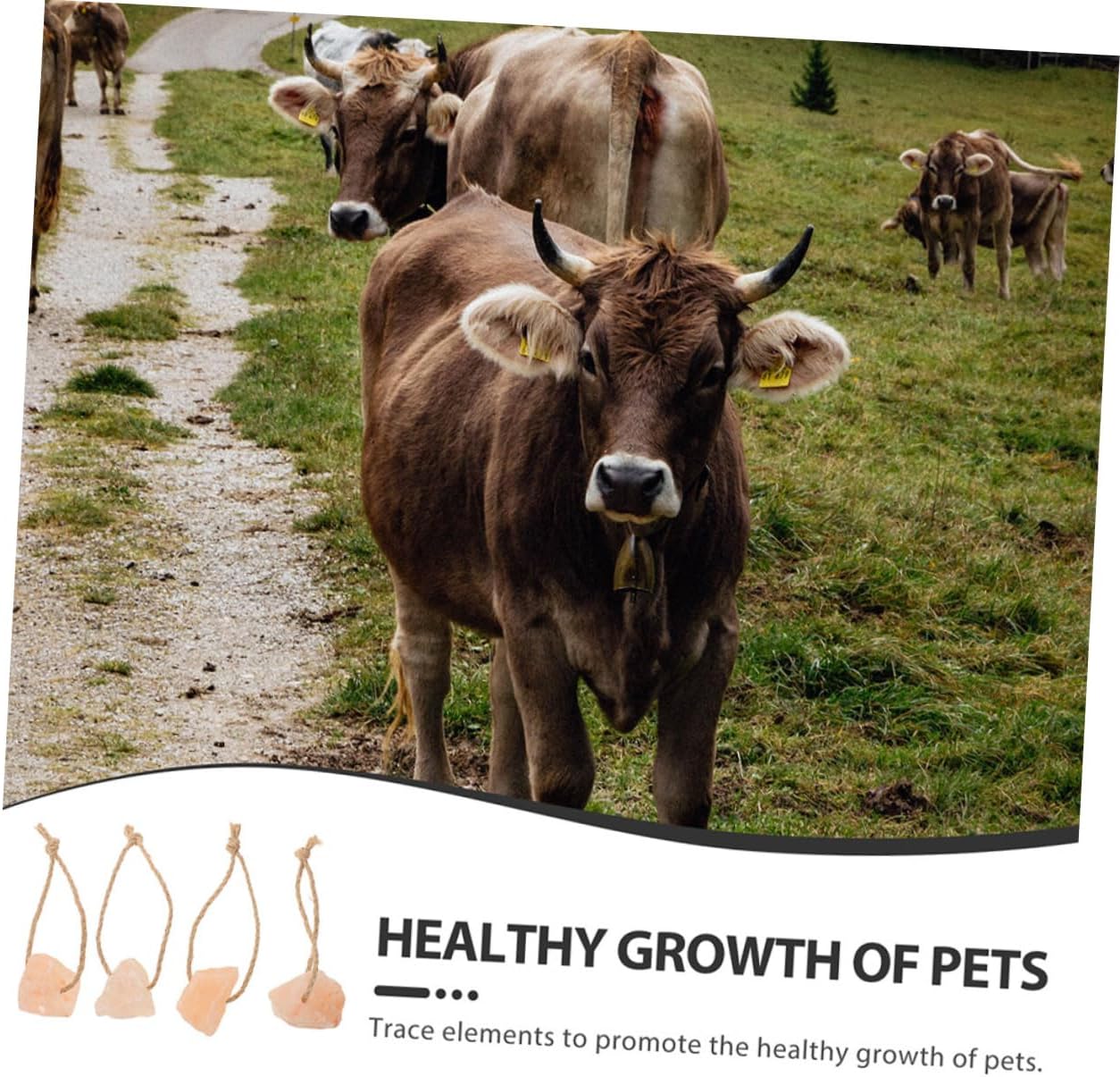 20pcs Salt Blocks for Livestock Mineral Enrichment Cattle Goats and Deer Supports Health and Vitality Easy to Handle and Distribute