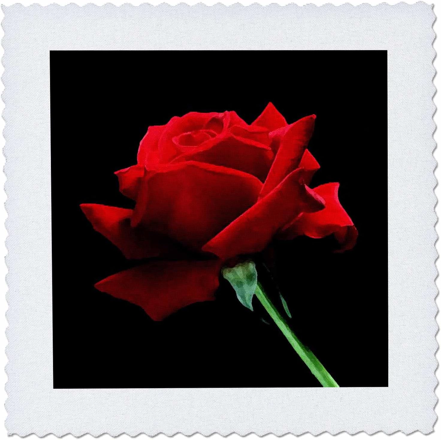 3dRose qs_3651_9 Red Rose Quilt Square, 22 by 22-Inch