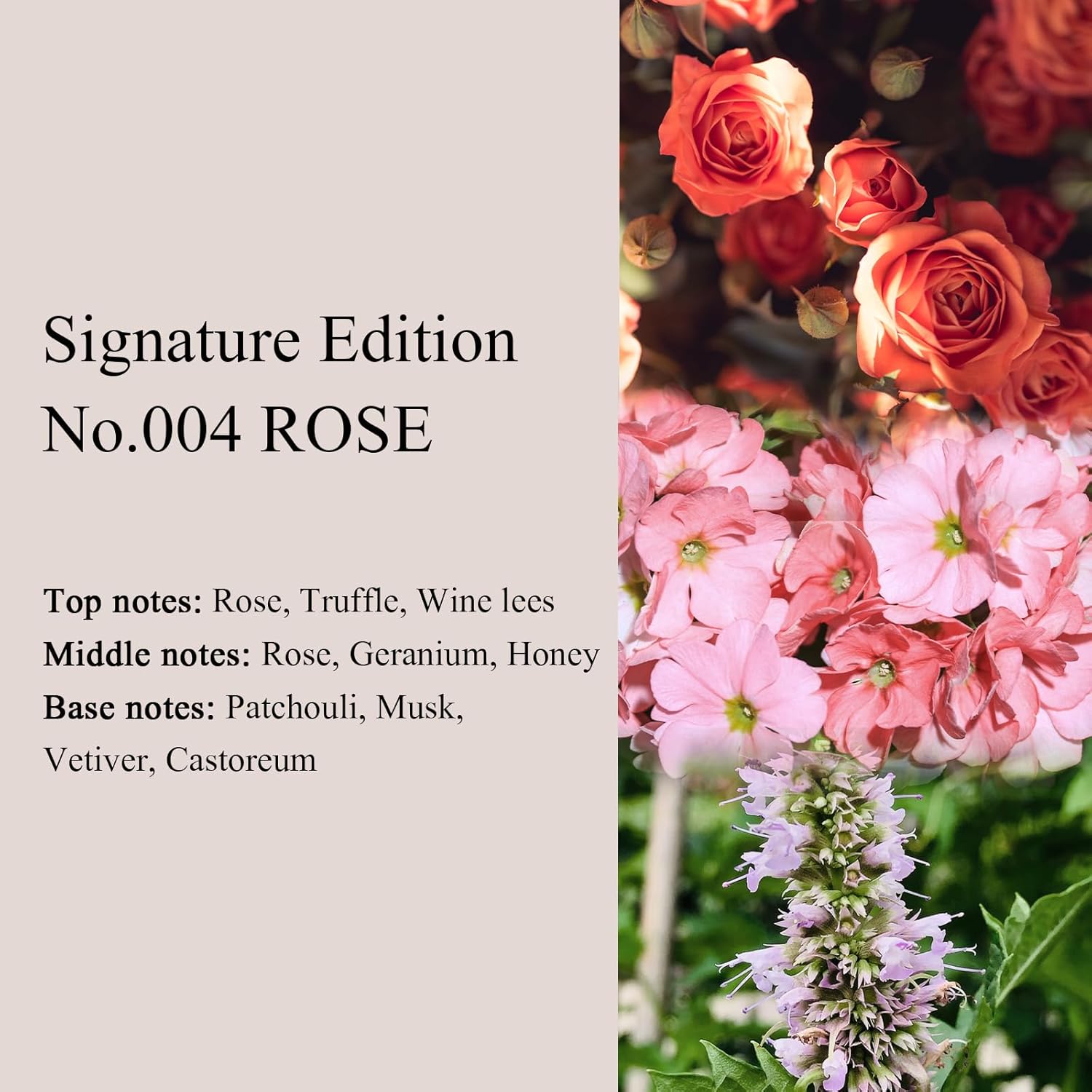 Signature Edition No. 004 ROSE Eau de Parfum, Floral Long-Lasting Unisex Fragrance - Rose, Honey, Patchouli - Clean & Vegan, Cruelty Free 3.4 fl. oz - Image 2