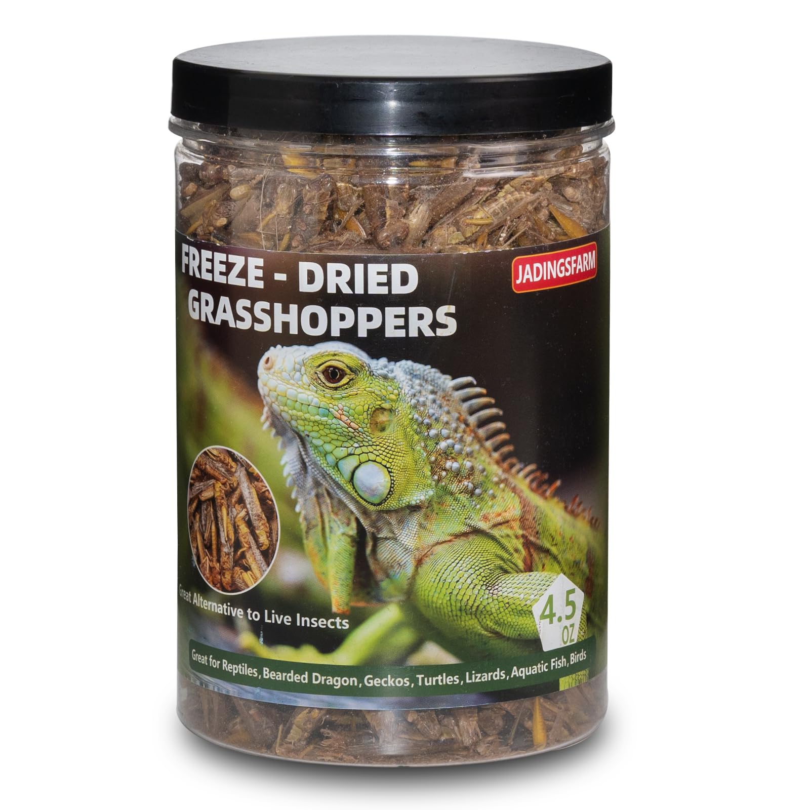 JADINGSFARM Freeze Dried Grasshoppers – 4.5 Oz High Protein Freeze Dried Grasshoppers for Reptiles, Food for Bearded Dragons Lizards, Geckos, Birds,