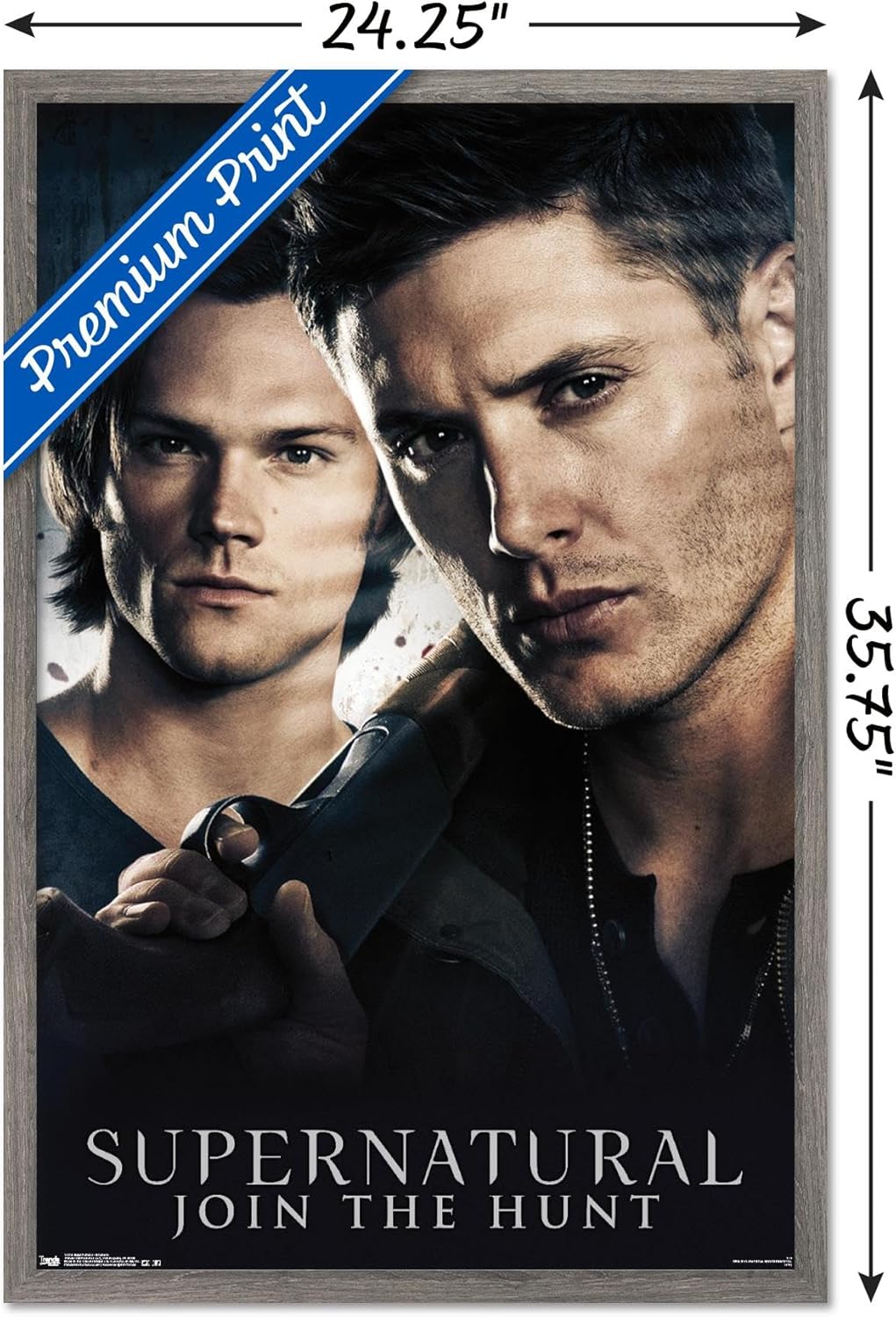 Trends International Supernatural - Brothers Wall Poster, 22.375" x 34", Barnwood Framed Version