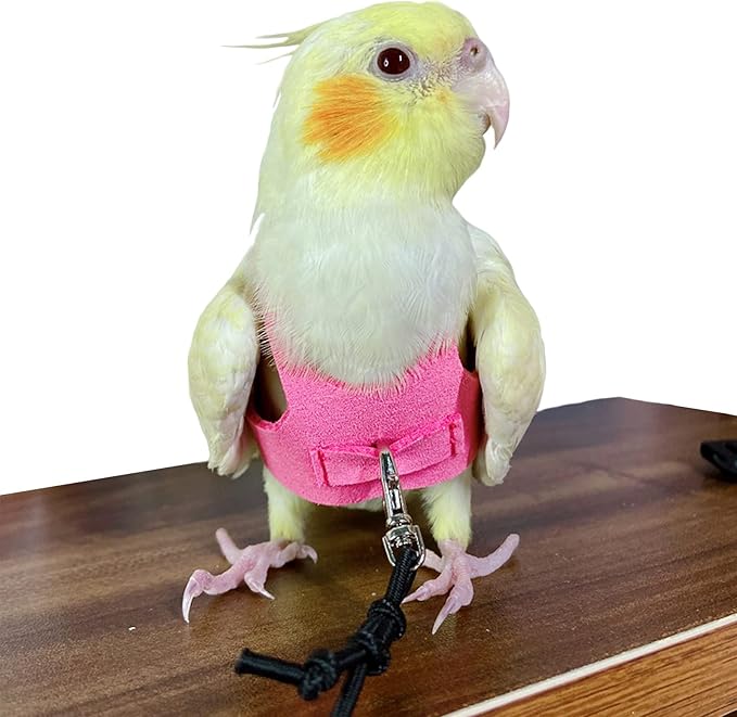 Bird Flight Harness Vest, Parrot Flight Suit with Leash for Parakeets