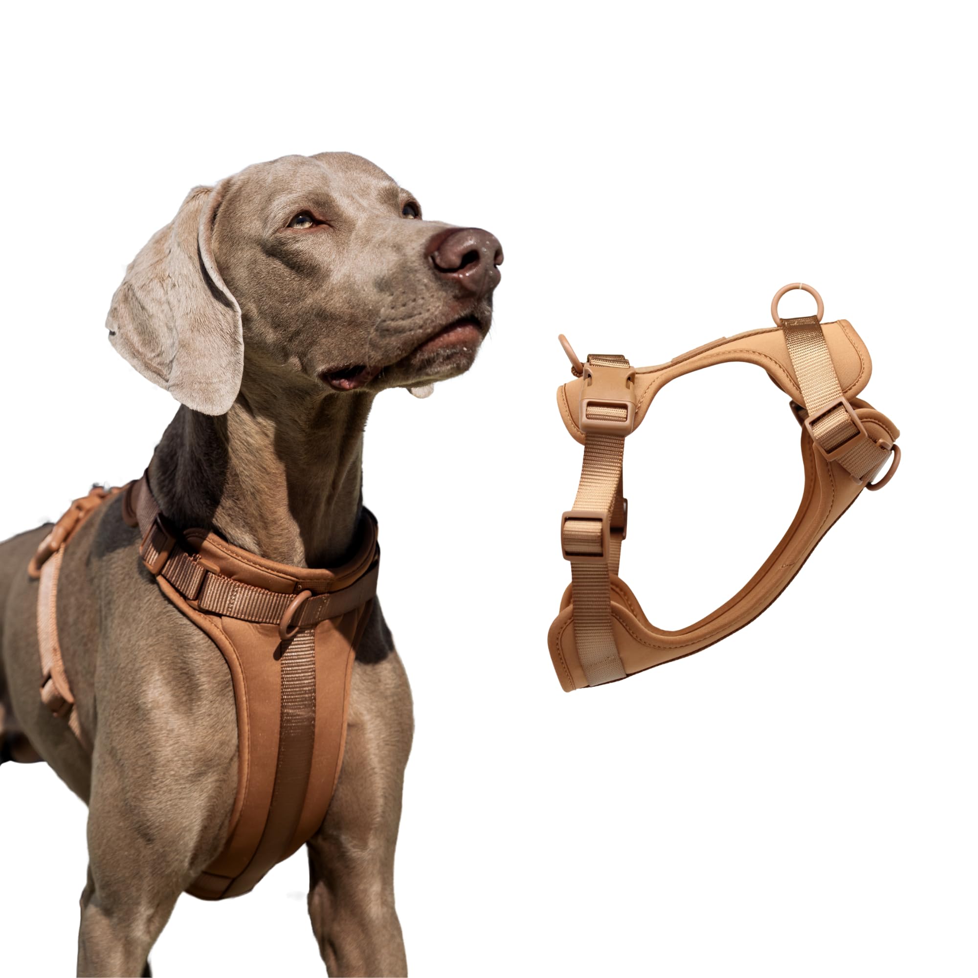 Arnés para Perros Grande Mediano Pequeño, Arnés Acolchado, Antitirones, Cómodo y Ajustable para Mascotas, Color Walnut, Talla L