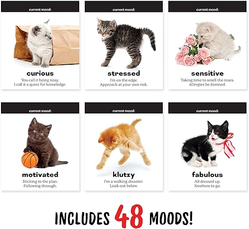 Miniatura 7 de Diario DOGGO, Rotafolio de escritorio