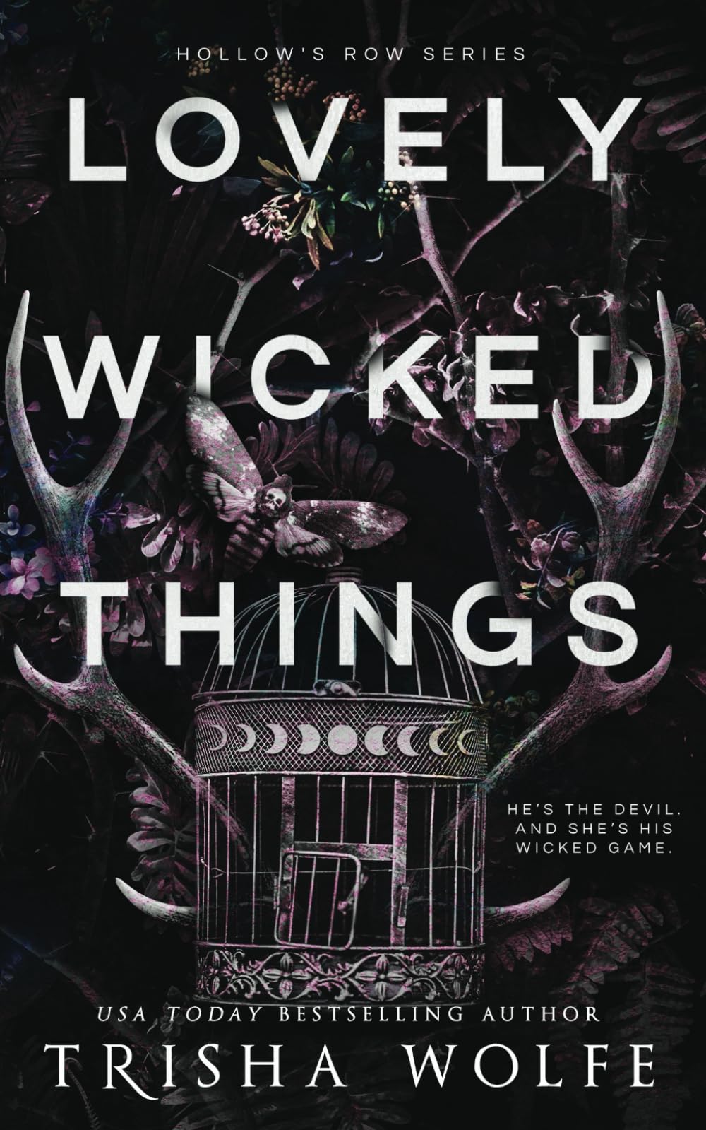 Lovely Wicked Things: 3 (Hollow's Row)