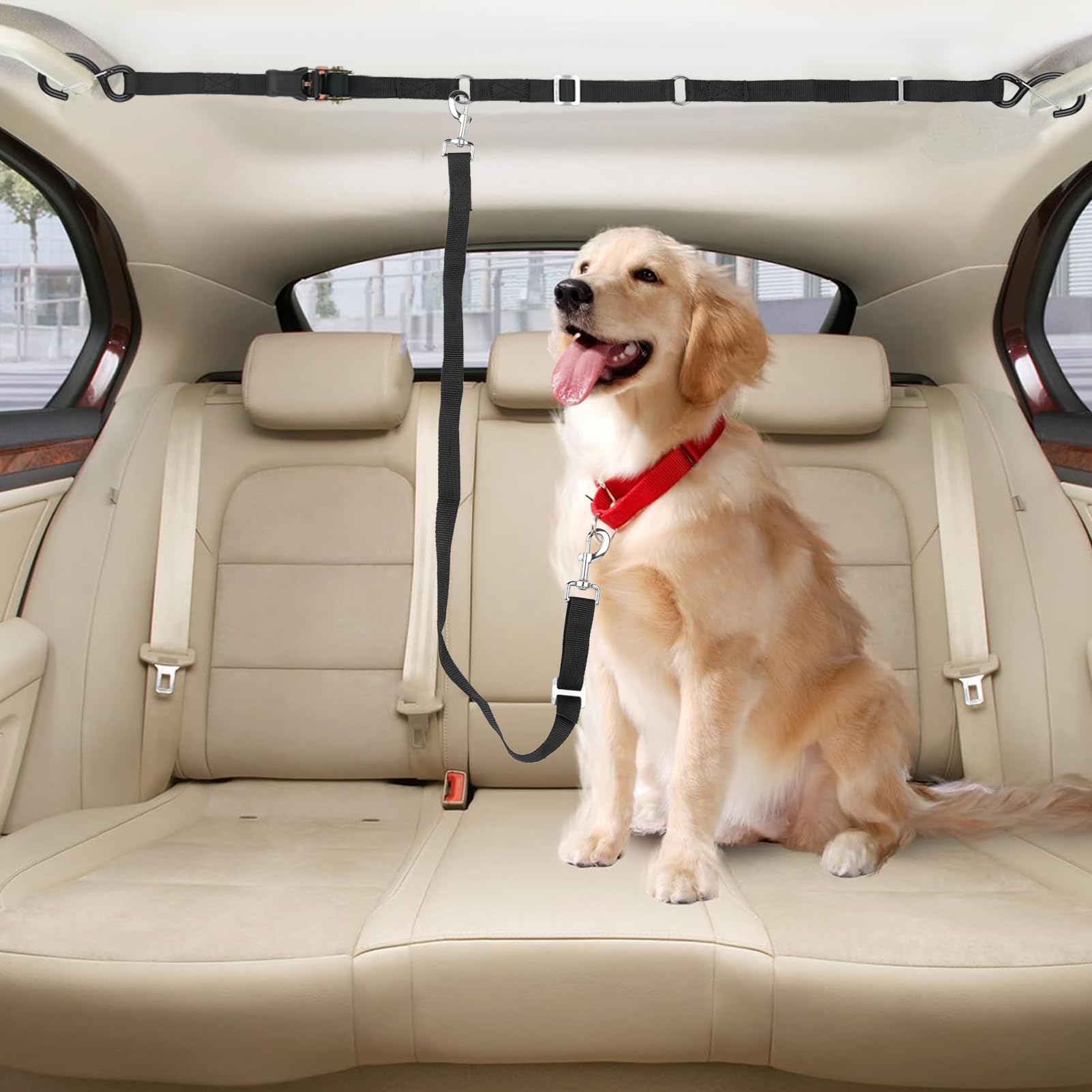 Dog Trainer Your Dog Puppy Tether Training SKIPWALL Truck Bed Dog Tether  For Two Dogs,Ratchet