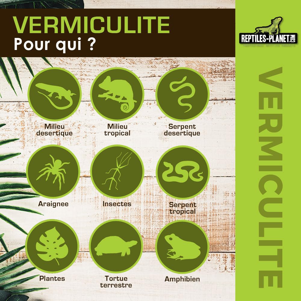 Reptiles Planet Vermiculite Substrat d'Incubation pour Reptiles 0,3-4 mm 6 Litres