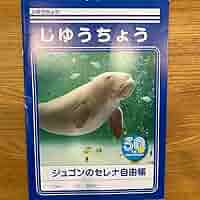 鳥羽水族館⭐️コレクションカード⭐️ジュゴン⭐️セレナ⭐️レア２枚セット 711dm7TGcnL._AC_SY200_QL15_.jpg