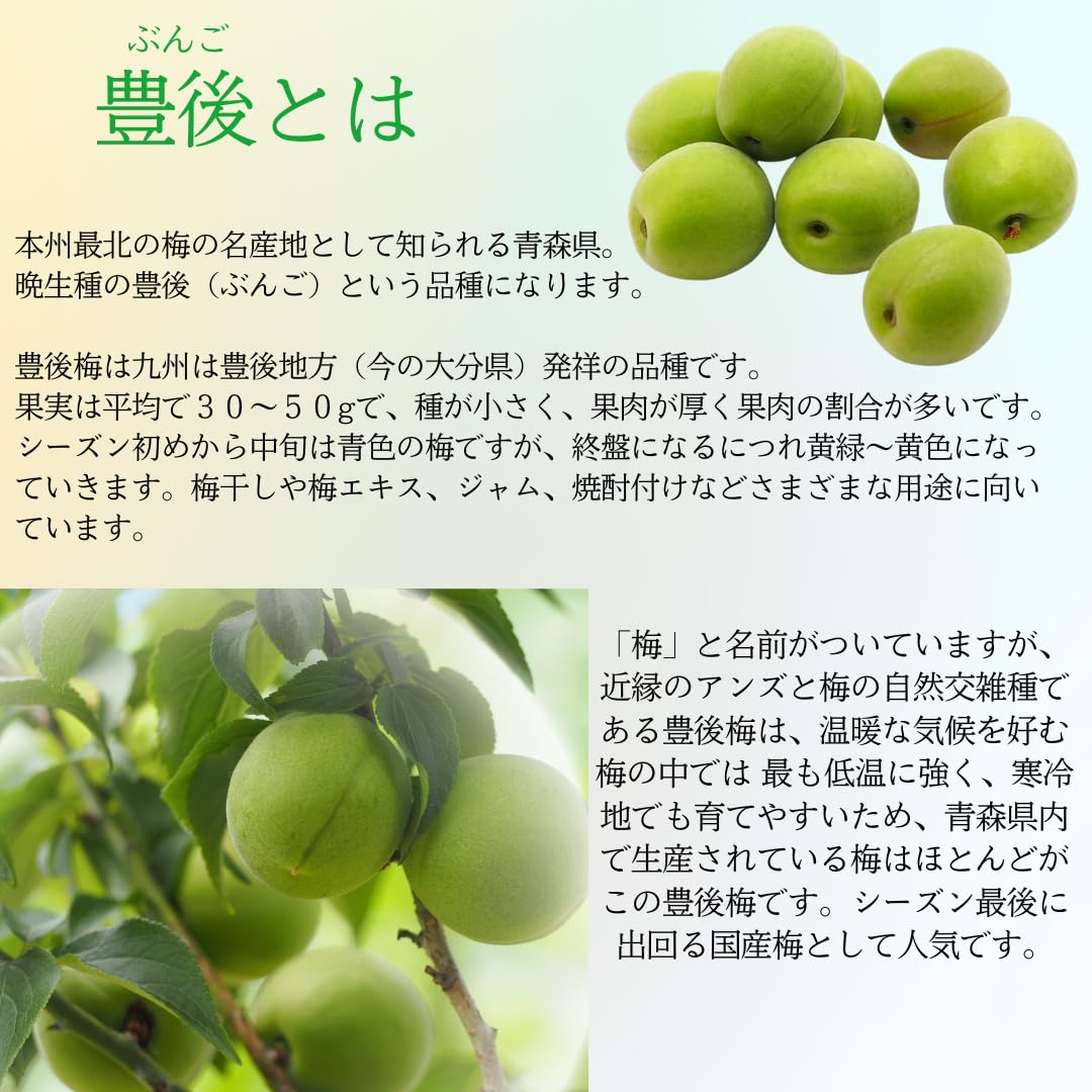 Amazon | クール便込み 青森県産 完熟 梅 豊後(ぶんご)2kg Amazon | クール便込み 青森県産 完熟 梅 豊後(ぶんご)2kg