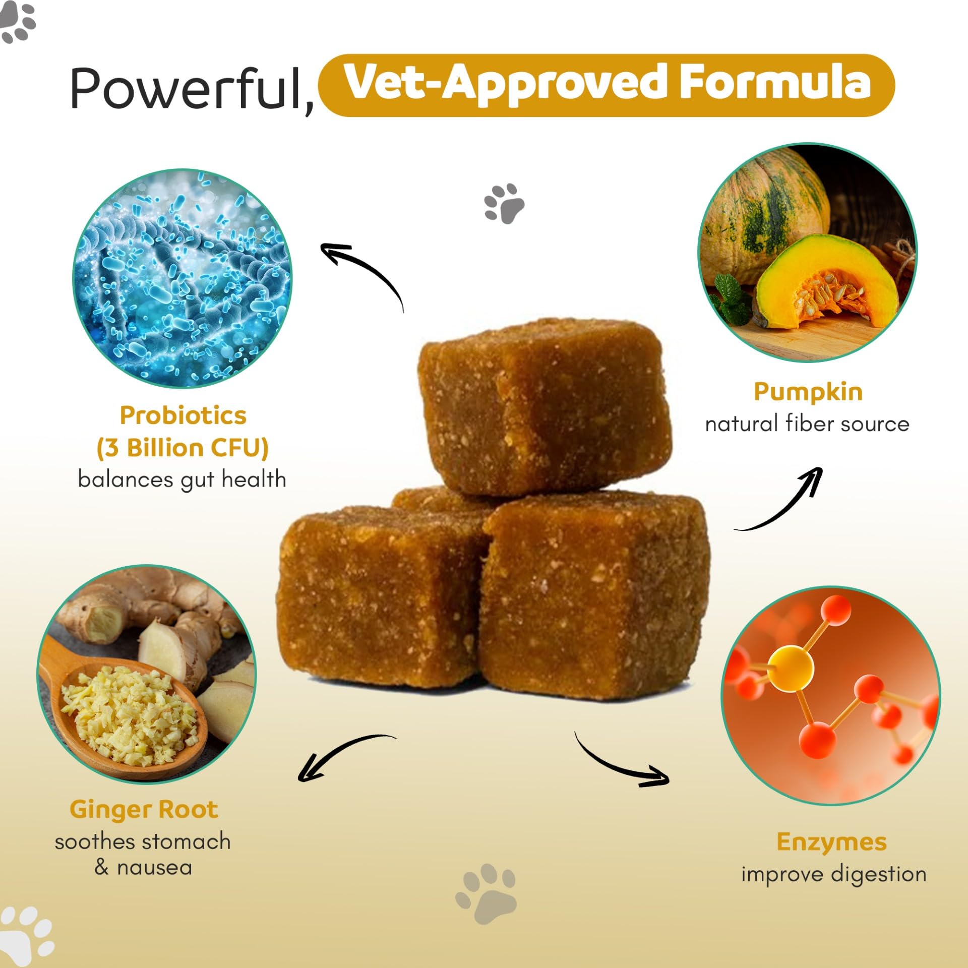 Ginger & Co Dog Probiotic Chews – Digestive Support for Loose Stool, Gas & Sensitive Stomach – Pumpkin, Enzymes & 1 Billion CFU Probiotics – Cold Pressed, No Fillers – Made in USA ~ 120 Chews - image 2