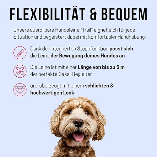 Miniatura 2 de Alcott KONG - Sendero retráctil, mediano, rojo, 16 pies de largo