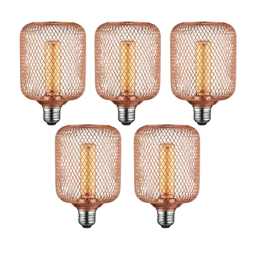 LED Decorative Lighting Metal Net Cover Rose Gold/Black Cage Screw Bulb, 5W(50W Equivalent) Dimmable Warm White 2200K E27 Edison Vintage Lighting for Kitchen Island Hallway - 220V (5 Pack - Rose Gold)
