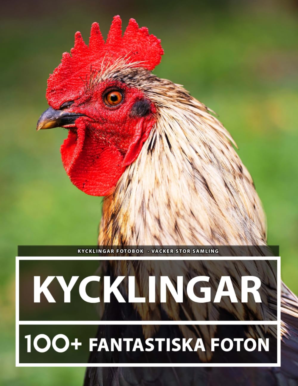 Kycklingar Fotobok - Vacker Stor Samling: 100+ Fantastiska Bilder - För Barn Och Vuxna