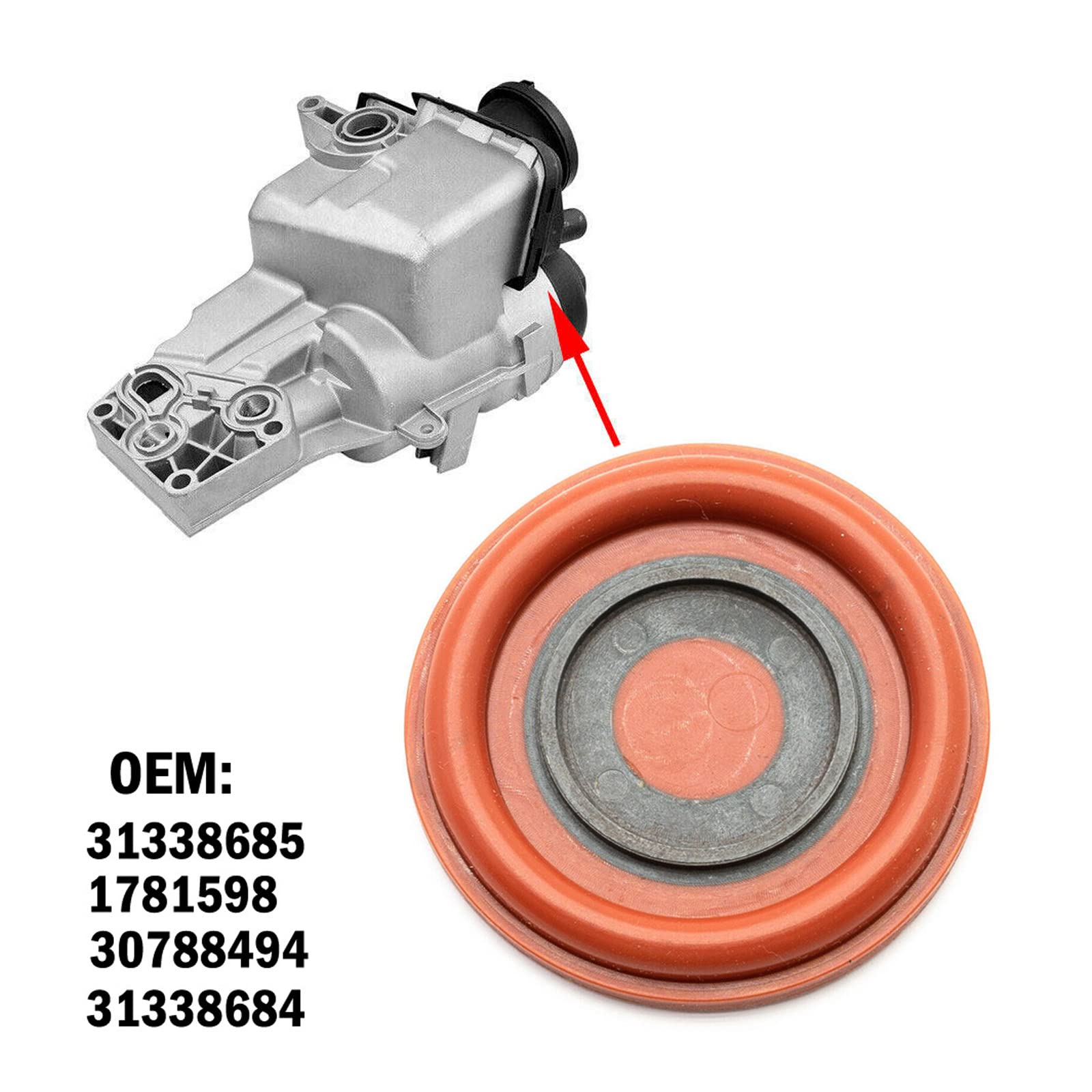 Kit Riparazione Valvola Jandy Kit Valvola Di Ritegno Per Piscina Jandy - Coperchio, Flapper E Molla, Compatibile Con Modello 7056 Piscina 366 - Foto 8