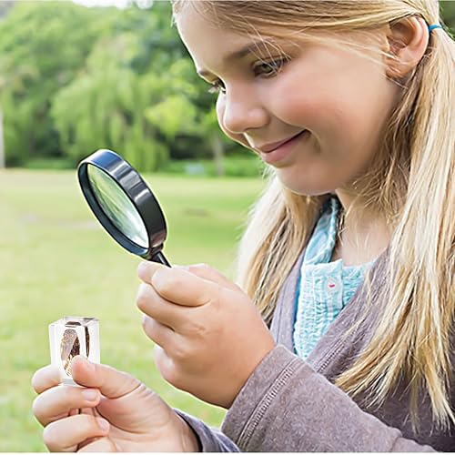 Miniatura 4 de Insectos en especímenes de resina, 9 piezas de espécimen de animales reales de insectos, resina araña, kit de colección de pisapapeles de resina