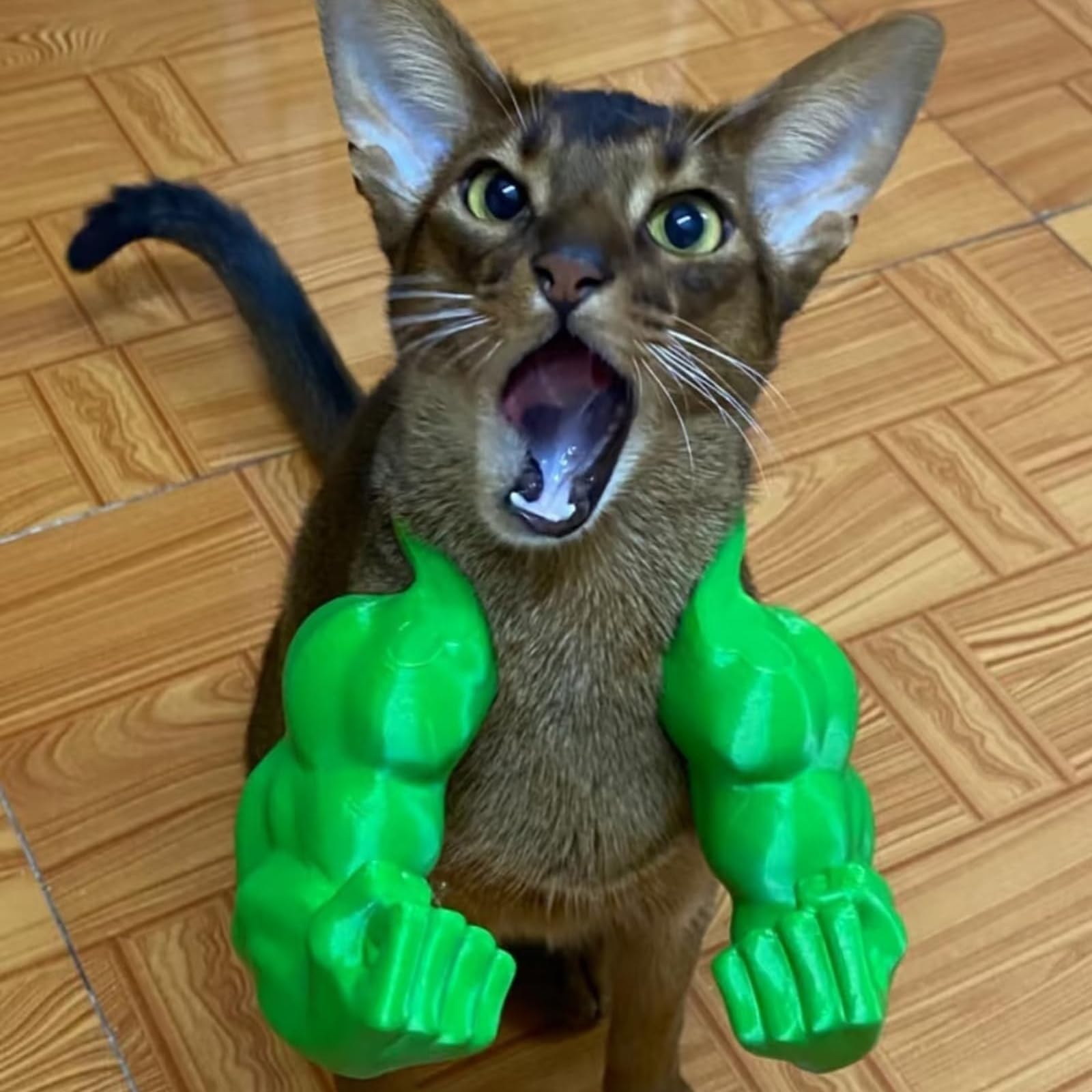 View 6