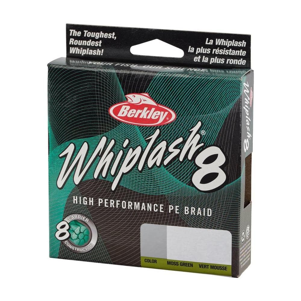 View 5