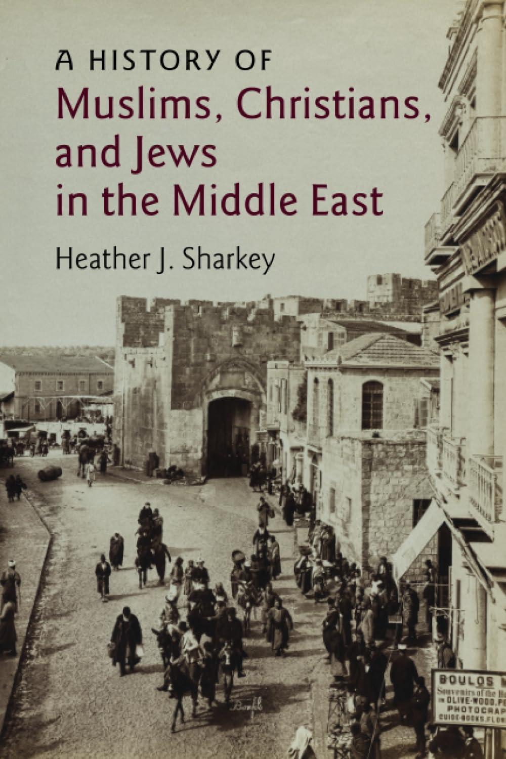 A History of Muslims, Christians, and Jews in the Middle East Sharkey Paperback