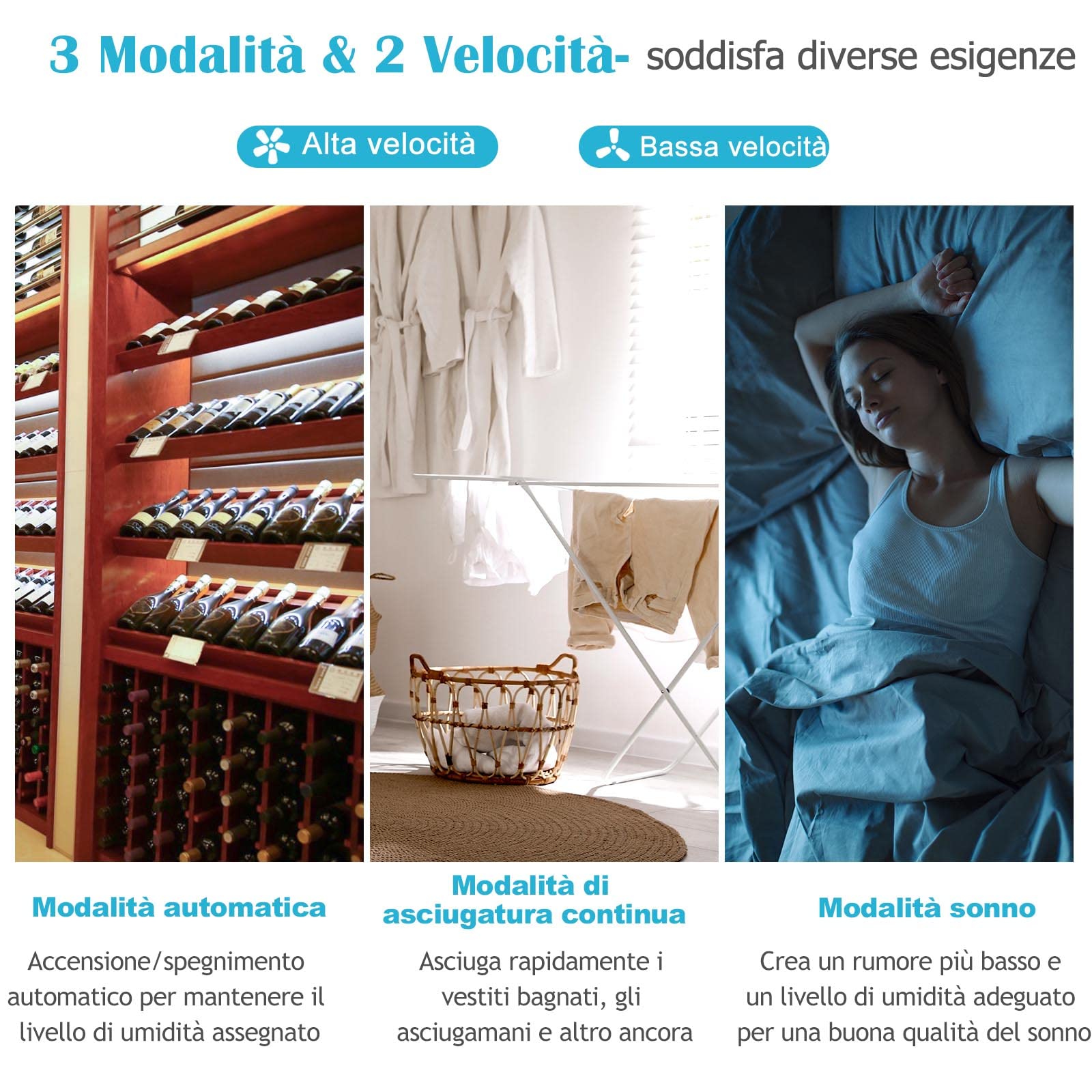 RELAX4LIFE Deumidificatore Casa 12L/Day con 4 Modalità e 2 Velocità, Deumidificatore d'Aria Portatile con 2L Serbatoio dell’Acqua, Timer 24 Ore, Blocco per Bambini (Modello 2, 12L/Day)