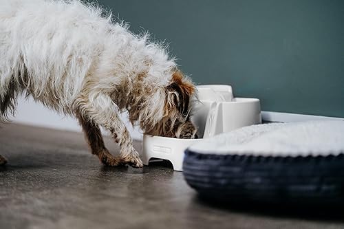 Miniatura 5 de Fuente de mascotas para gato Mate, 70 onzas de líquido