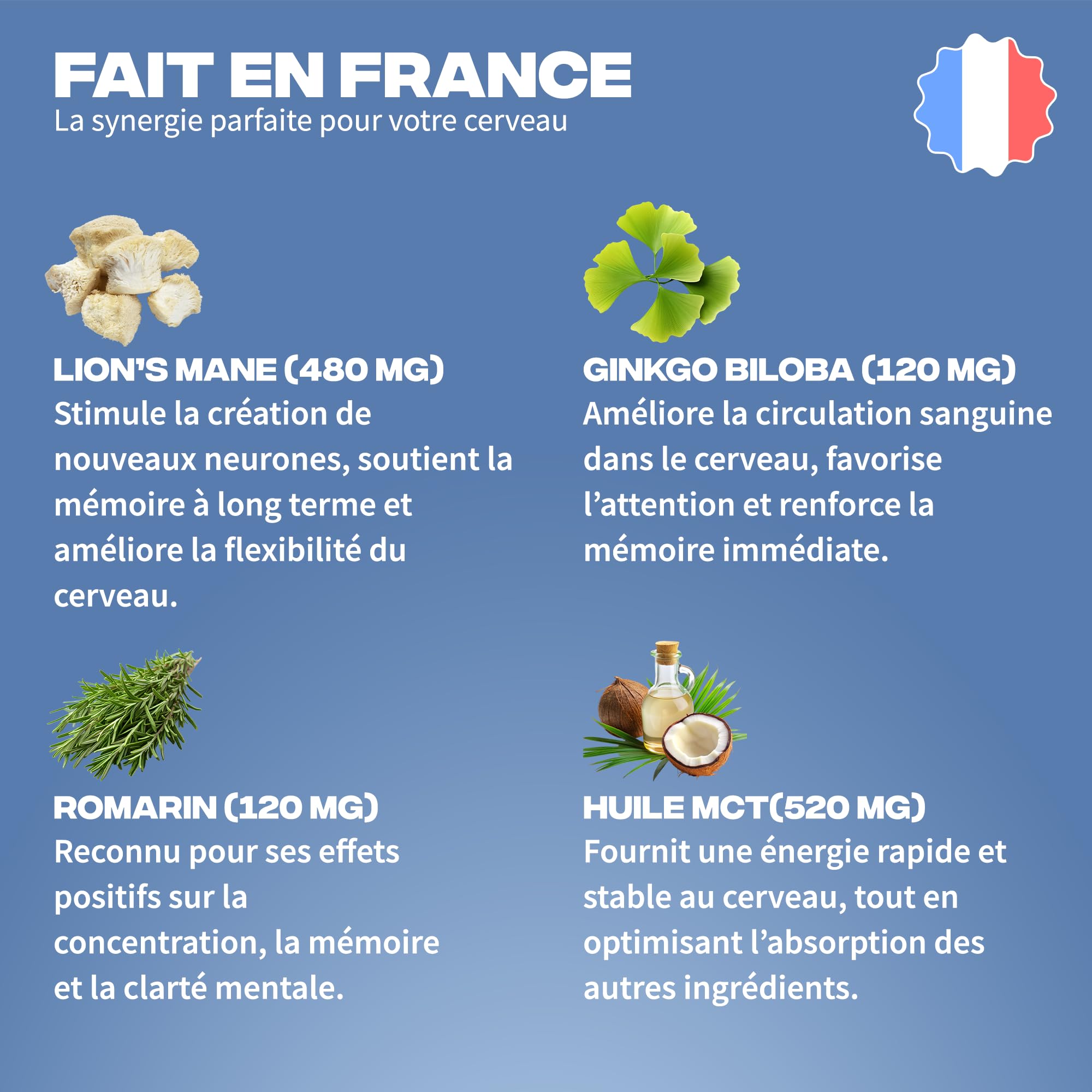 Focus Améliore Concentration & Clarté Mentale - Lion's Mane, Ginkgo Biloba, Romarin, Huile MCT - Fabriqué en France - Vitamines & Minéraux - Adaptogènes Naturels - Vegan, Sans Gluten