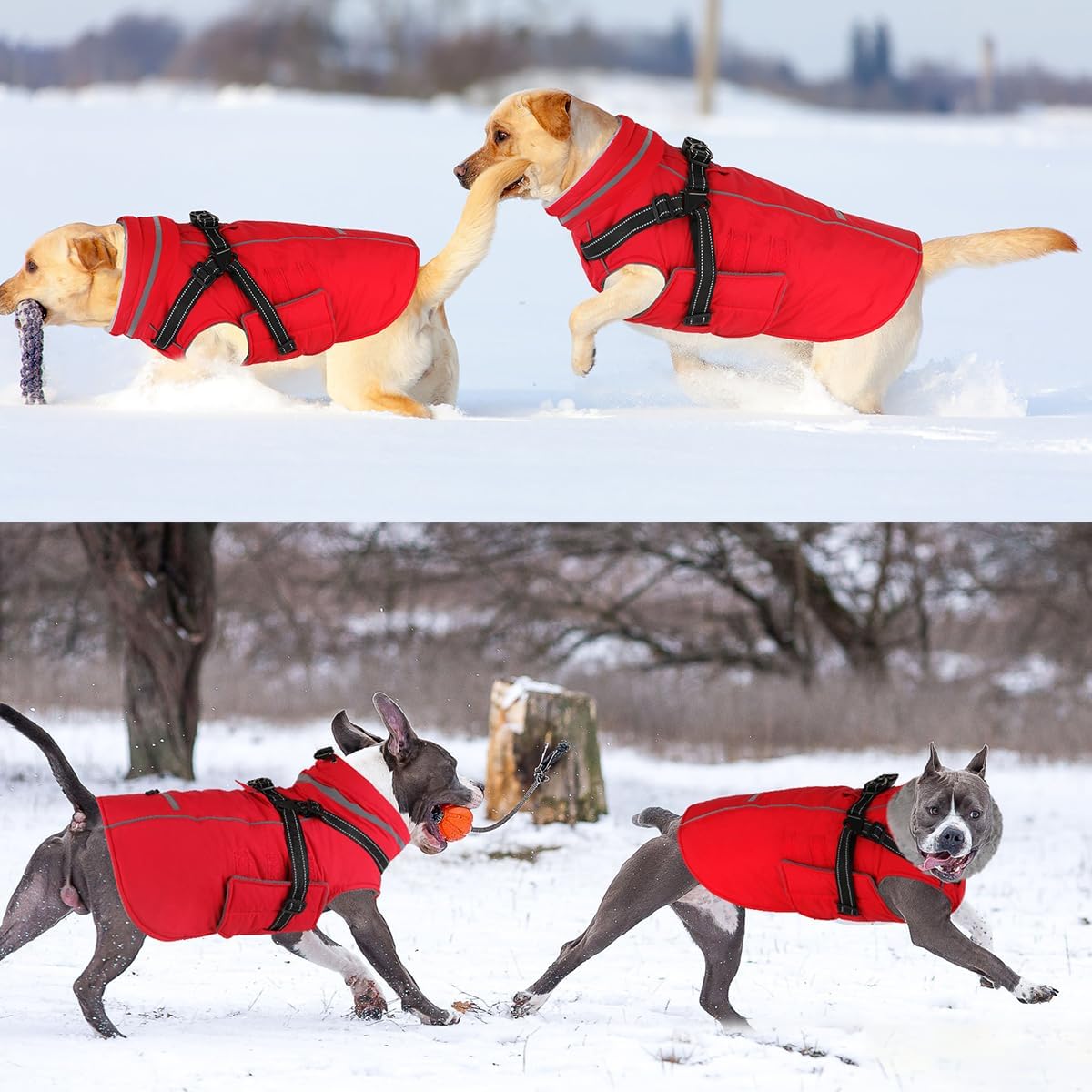 Doglay 2 in 1 犬用コート ハーネス内蔵、防水犬用ウィンタージャケット、ポケット&amp;うんちバッグ付き、反射調節可能