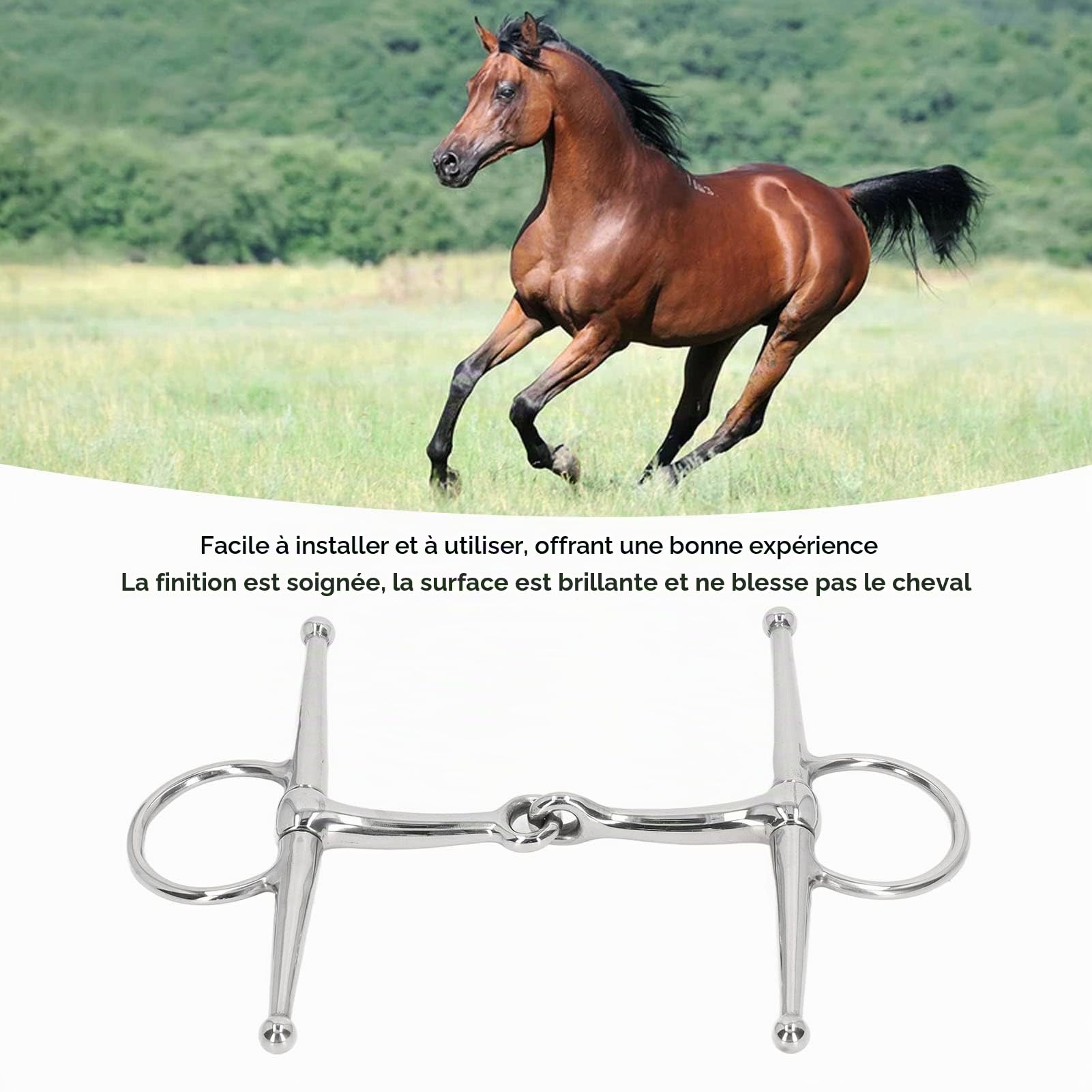 Mors de Cheval Articulé à Anneau, Robuste, pour Bouche de 125 mm, pour Ferme Équestre